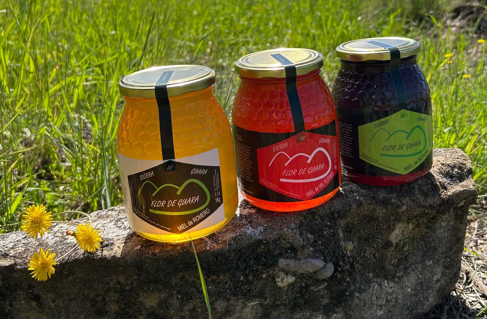 42551533a16022e246eedce8eabeae38137d9244